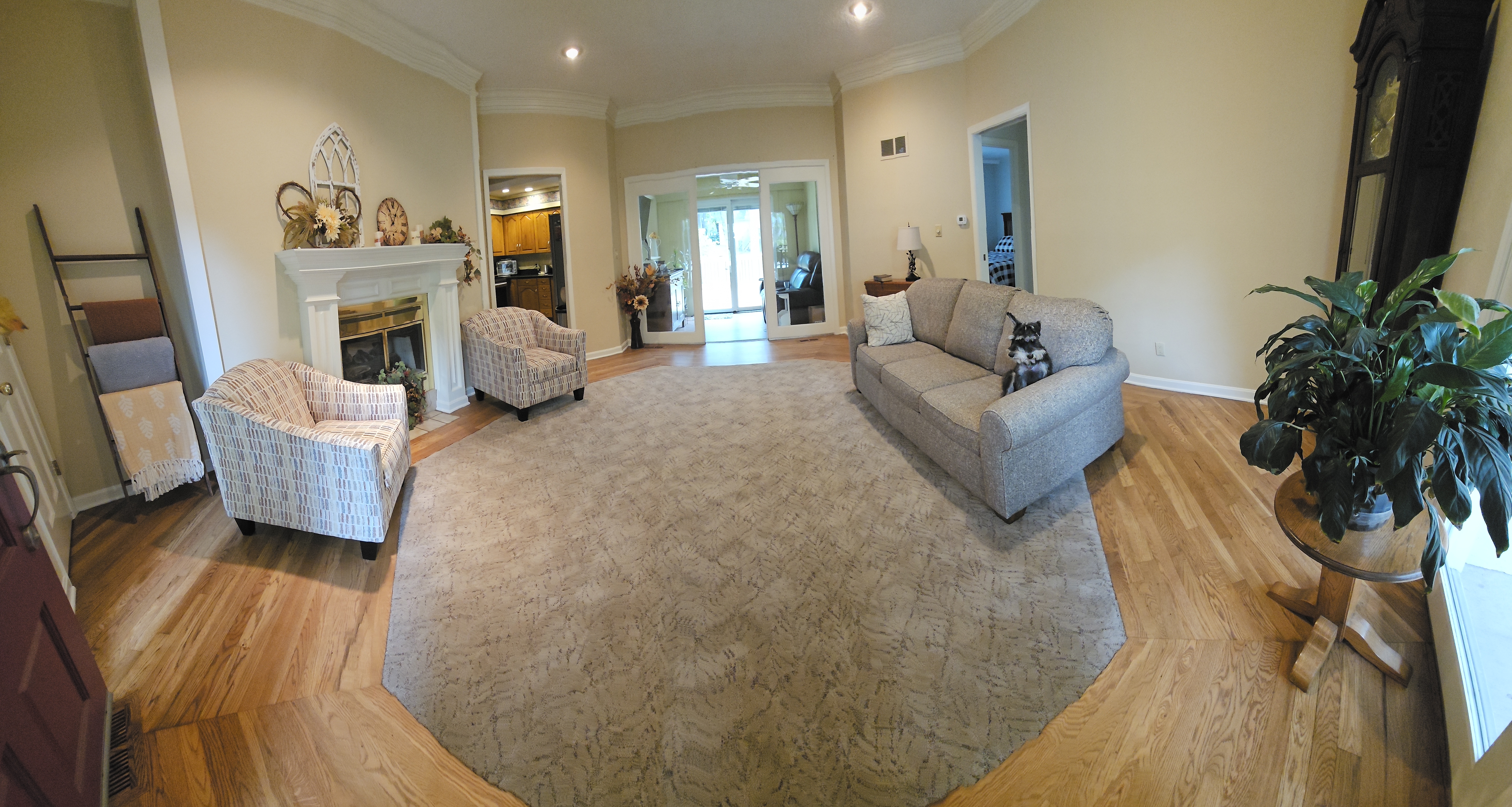 Product: Godfrey Hurst, Dramatic Features. Color: Pinewood