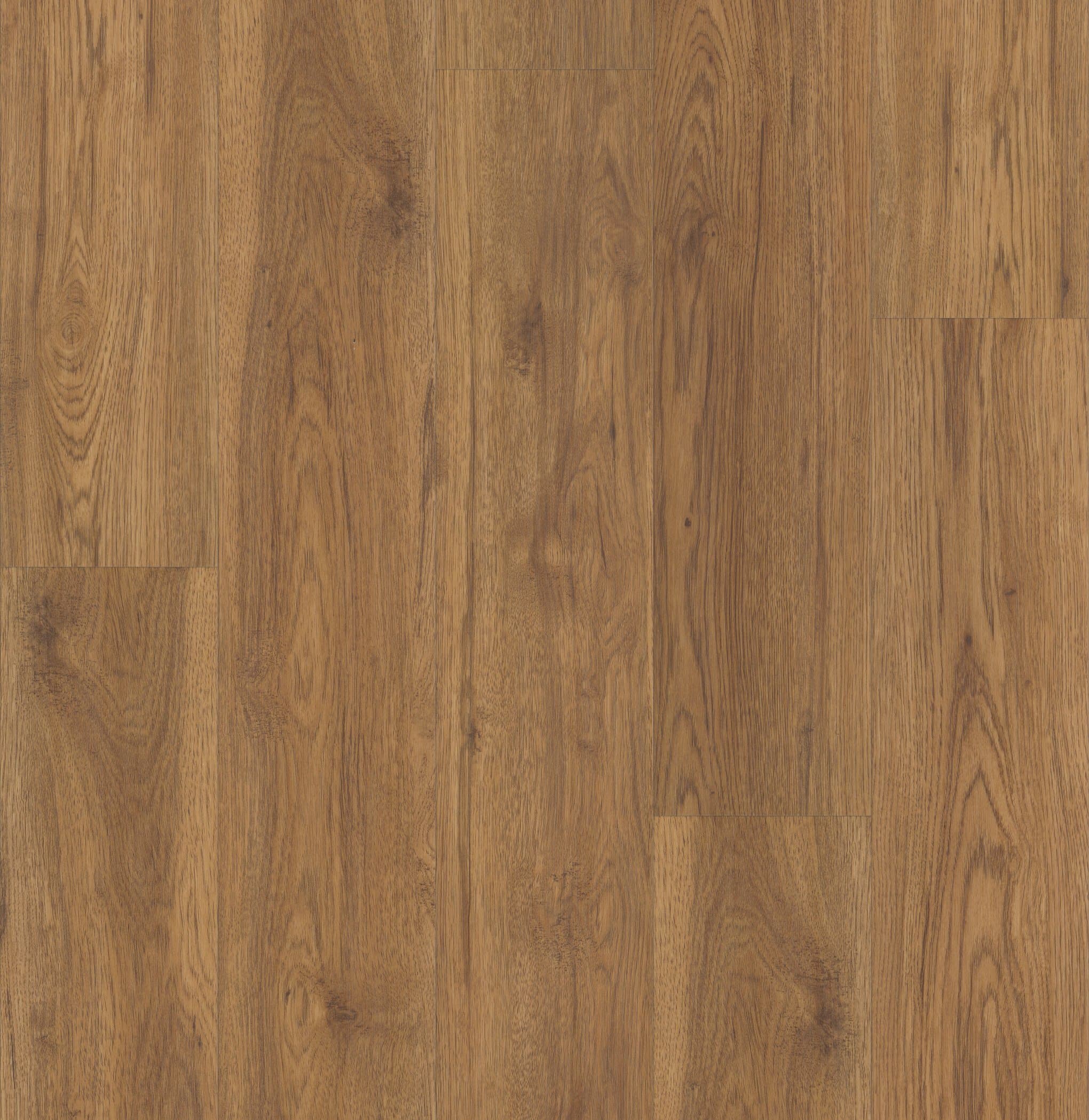 Marsh Oak